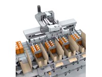 Axiom® ARC Series Continuous Motion Case/Tray Packer